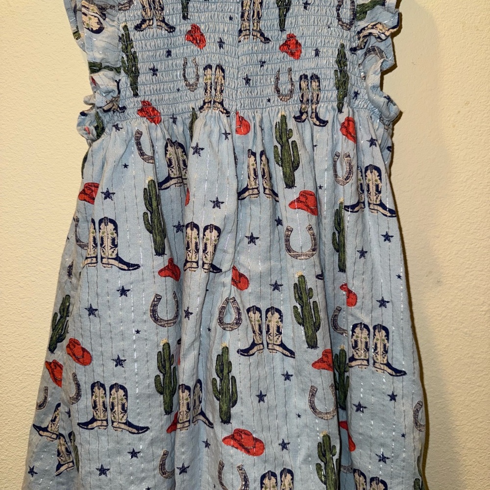 Pink Chicken Blue Western-Themed Dress